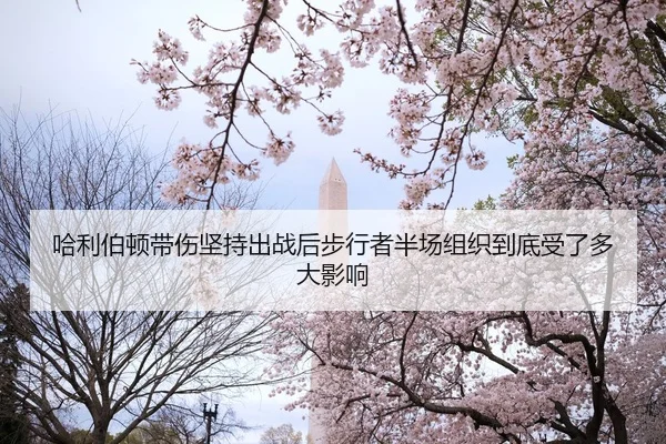 哈利伯顿带伤坚持出战后步行者半场组织到底受了多大影响