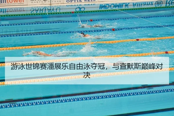 you-yong-shi-jin-sai-pan-zhan-le-zi-you-yong-duo-guan-yu-cha-mo-si-dian-feng-dui-jue-2-595.jpg