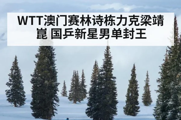 WTT澳门赛林诗栋力克梁靖崑 国乒新星男单封王